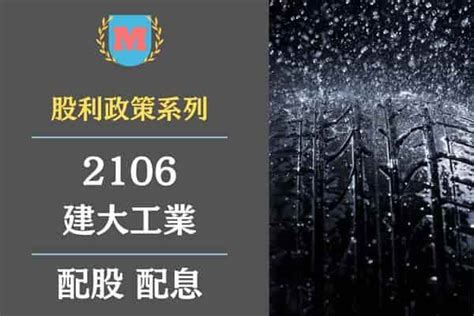 建大可以買嗎|2106建大股票的4個風險，橡膠產業，最新股價29.3元